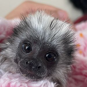 Meet your Posher, Kaleigh